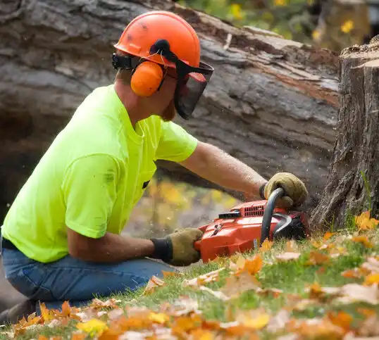 tree services Iuka